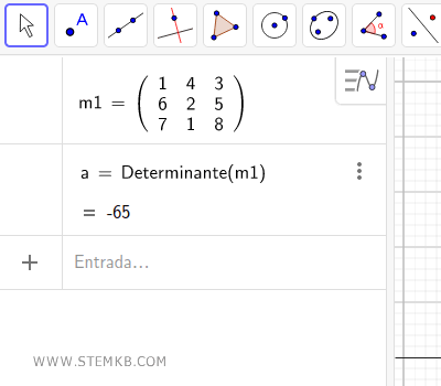 die Berechnung des Determinanten der Matrix