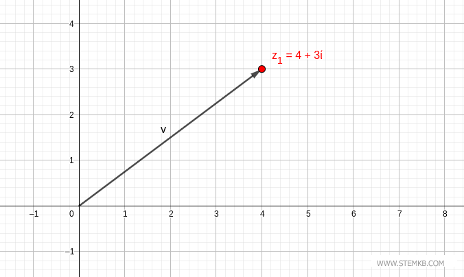 Defining the Vector 'v'