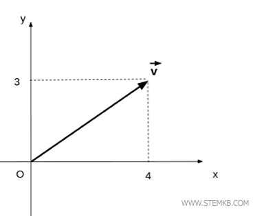 a vector in the plane