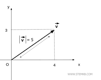 the magnitude or length of the vector in the plane