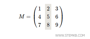 Die zweite Spalte der Matrix