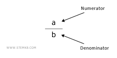 the numerator and denominator