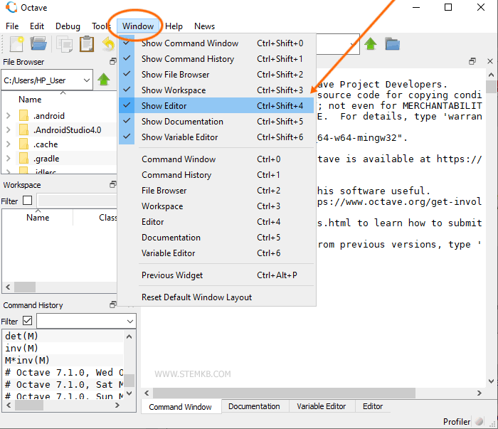 Wie man den Editor anzeigt