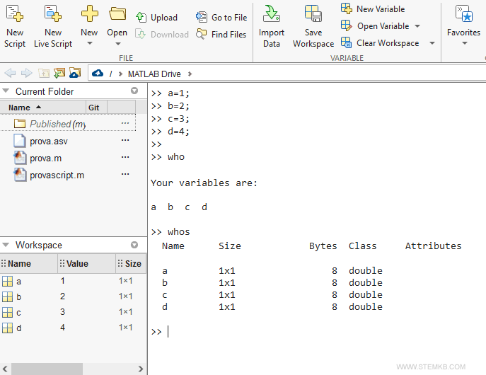 Variablenliste im Arbeitsbereich.