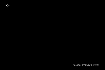 Das Befehlsfenster ist nun leer.