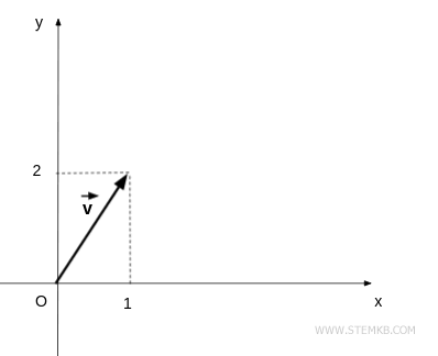 Graphic representation of the vector on a plane