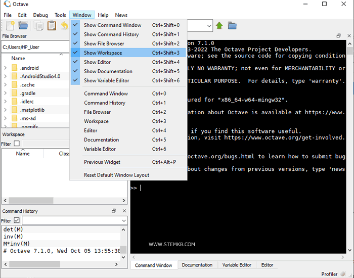 Arbeitsbereichsfenster in Octave anzeigen